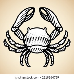Illustration of Scratchboard Engraved Crab with White Fill isolated on a Beige Background