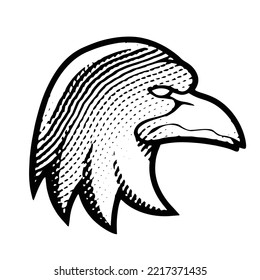 Illustration of Scratchboard Engraved Eagle isolated on a White Background