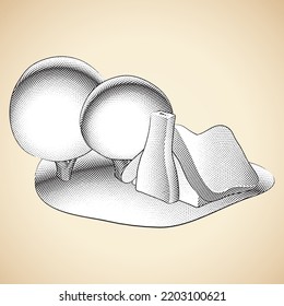 Illustration of Scratchboard Engraved Fairytale House and Round Trees in a Garden with White Fill