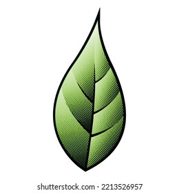 Ilustración de la hoja verde grabada en un tablero de cráter aislado en un fondo blanco
