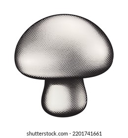 Illustration of Scratchboard Engraved Mushroom with Beige Fill