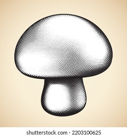 Illustration of Scratchboard Engraved Mushroom with White Fill