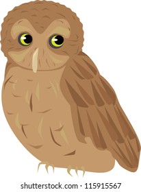 An illustration of a screech owl.