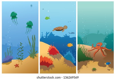 illustration of sea animals