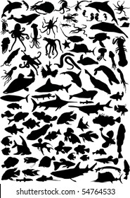 illustration with sea animals isolated on white background