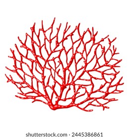 Illustration of sea coral. Marine life aquarium and water fauna.