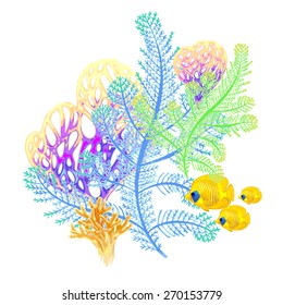 Illustration with sea corals and exotic fish. Vector. Composition isolated on white background.