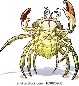 The illustration of the sea crab. He looks at camera and gets up his claws and he looks dangerous.