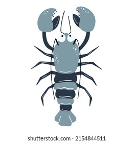 Illustration of sea crayfish on white background. Vector illustration cartoon flat style