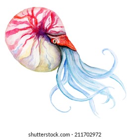 Illustration of a sea creature made in vector. Watercolor vector squid. Ocean and tropical art graphic.