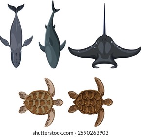 Illustration of sea creatures from above