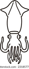 Illustration of sea creatures squid (line drawing)