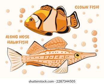 Illustration with sea fish, Clown fish and Long Nose Hawkfish. Bright, orange and pink colors. Cirrhitus rivulatus; Amphiprion. pattern with texture and stripes. For magazines, banners, 
