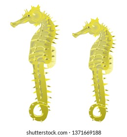 Illustration of the sea horse