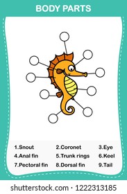 Illustration of sea horse vocabulary part of body,Write the correct numbers of body parts.vector