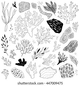 Illustration with sea life objects