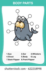 Illustration of sea lion  vocabulary part of body,Write the correct numbers of body parts.vector