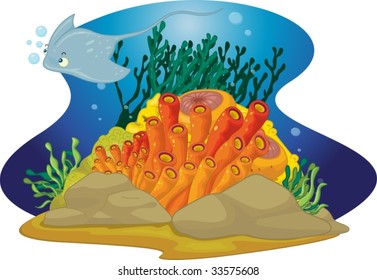 Coral Reef Cartoon Illustration Stock Vector (Royalty Free) 32407156 ...