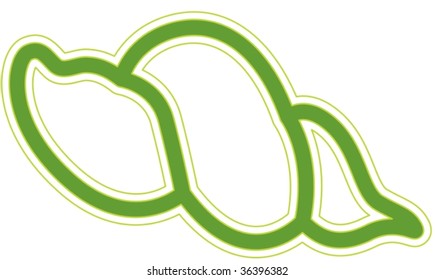 illustration of sea shell on white