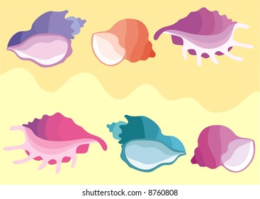 Illustration with sea shells ashore