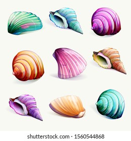 Illustration of sea shells. Set of five objects, isolated on white. Handdrawn elements for different purposes. Vector - stock.