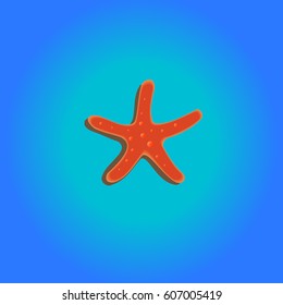 Illustration of sea star