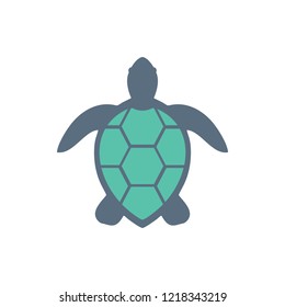 illustration of sea turtle