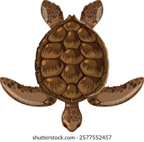 Illustration of a sea turtle from above