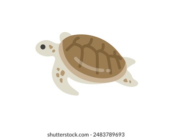 Ilustración del icono de la biología de la tortuga marina.