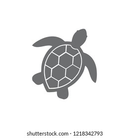 illustration of sea turtle icon