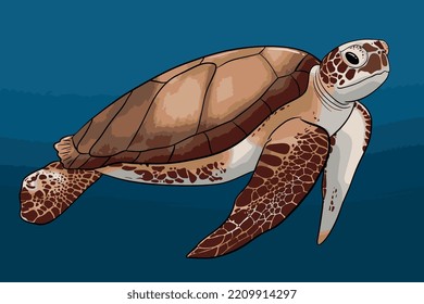 Illustration of sea turtle vector