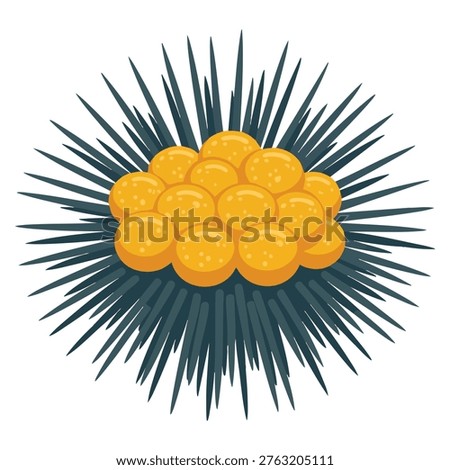 Illustration of a sea urchin inside shell perfect for ocean biology marine wildlife and aquatic themed artwork