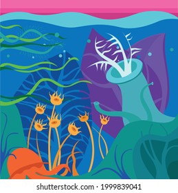 Illustration of the seabed. Algae and plants


