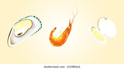 Illustration of seafood