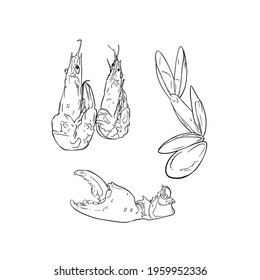 Illustration of a seafood dish. Oysters, fish, shrimp, mussels, crab mites for printing, blank for designers, menu, grill food