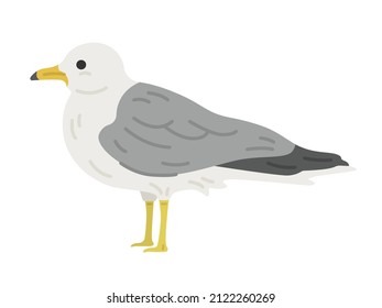 Illustration eines von der Seite beobachteten Seegras.