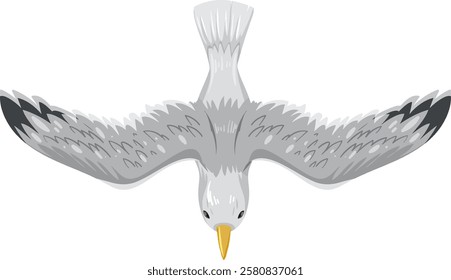 Illustration of a seagull soaring in the sky