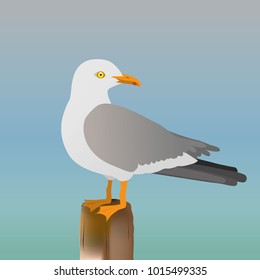 An illustration of a seagull standing on a pole