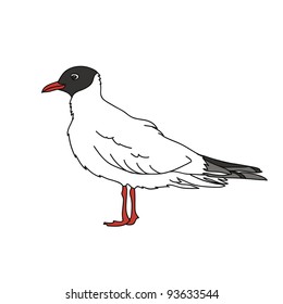 illustration with seagull in vector