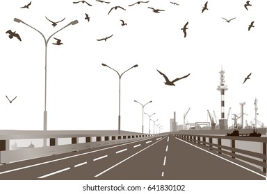 illustration with seagulls above straight road 