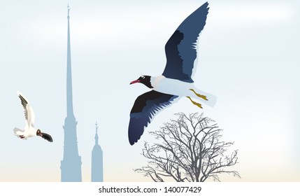 illustration with seagulls near Peter and Paul Fortress