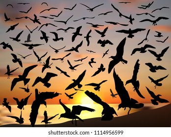 illustration with lot of seagulls on sunset background