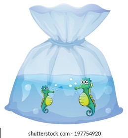 Illustration of the seahorses inside the plastic pouch on a white background