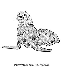 Illustration "Seal" was created in doodling style in black and white colors.  Painted image is isolated on white background. 