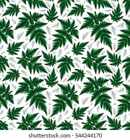 Illustration of seamless floral pattern with fern branches isolated