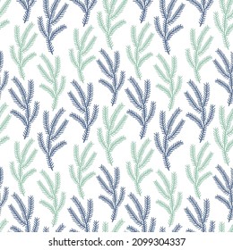 Illustration of a seamless pattern of fir branches. Cute simple style. Suitable for winter holidays and natural botanical motives. The objects are located on a white background.
