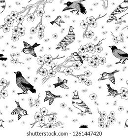 Illustration of seamless pattern with hand drawn magpies, sparrows, pigeons and cherry blossom branches
