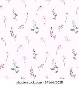 Illustration of seamless pattern of wildflowers and echinacea