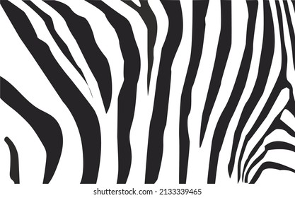 Illustration of seamless zebra pattern, Abstract pattern of zebra animal skin in black and white abstract zigzag lines vector illustration.