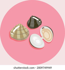 Illustration of seashell and clam. good food and diet